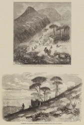 Sketches of Italy
